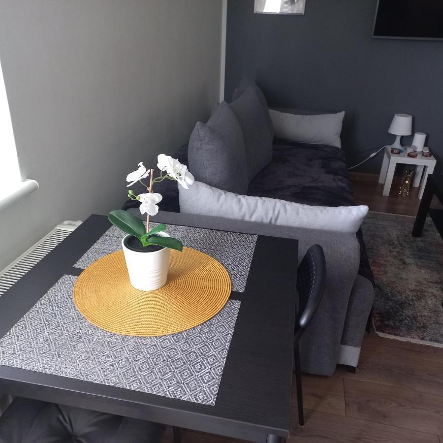 Apartament Plater Apartment Прущ-Гдански Екстериор снимка