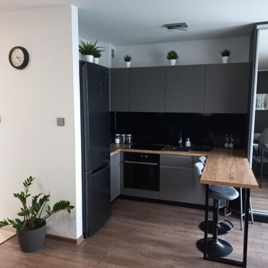 Apartament Plater Apartment Прущ-Гдански Екстериор снимка